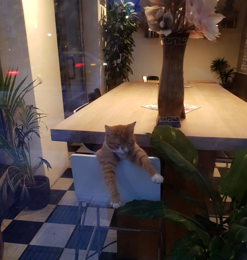 Hotel Mosaic City Centre Άμστερνταμ Εξωτερικό φωτογραφία